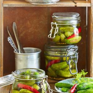 Pickling Baby Cucumbers