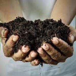 مشروع السماد العضوي مشروع السماد العضوي