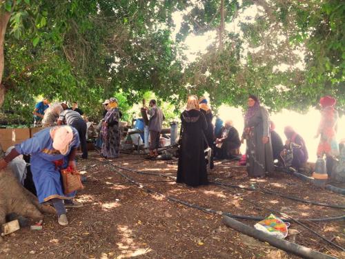 Farmers women